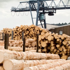 Xylene – Boosting Trust in Timber